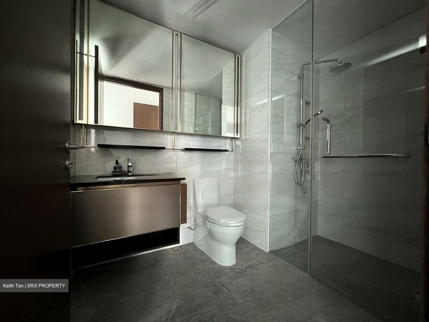 Normanton Park (D5), Apartment #454101621